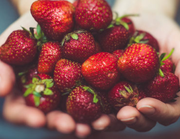 Fruit Bearing